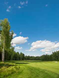 农村高尔夫球绿色把草场森林蓝色的天空Cloudscape阳光明媚的一天俄罗斯