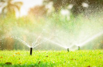 自动草坪上喷水灭火系统浇水绿色草喷水灭火系统