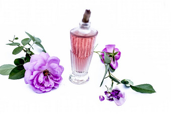 关闭拍摄<strong>香</strong>水气味喷雾玫瑰蔷薇属古拉布透明的玻璃瓶孤立的白色玫瑰花