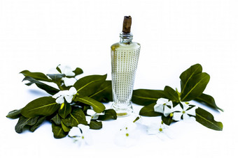 关闭香水喷雾年度文卡马达加斯加小长春花萨达巴哈尔萨达巴哈尔透明的玻璃瓶生花孤立的白色