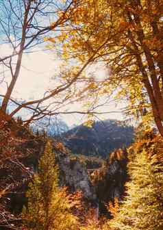 美丽的自然欧洲阿尔卑斯山脉景观视图高山山湖村秋天季节旅行目的地