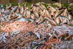 海鲜鱼市场