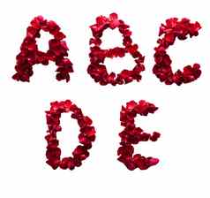 字母信使红色的花瓣玫瑰孤立的