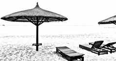 夏天海滩白色黑色的甲板椅子伞海滩