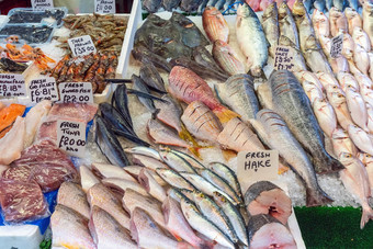 类型鱼虾出售