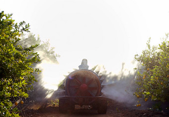 后视图拖拉机喷涂农药杀虫剂柠檬种植园西班