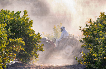 拖拉机喷涂农药杀虫剂柠檬种植园西班牙杂草