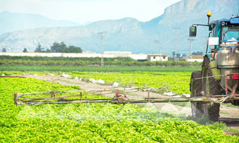 熏蒸拖拉机生菜场喷涂杀虫剂杀虫剂农药农业