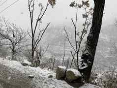 降雪山覆盖树山一边