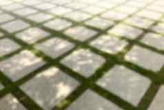 模糊图片混凝土块地板上花园地面模糊砖修剪整齐的草坪上背景