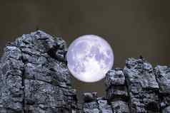 蓝色的月亮回来石头怪物岩石悬崖