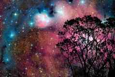 模糊星系星云回来晚上云天空树