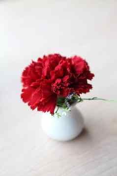 红色的花Jar