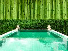 水疗中心温泉游泳池绿色植物竹子墙