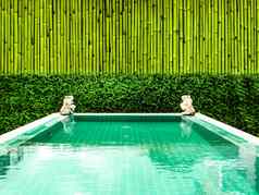 水疗中心游泳池绿色植物竹子墙