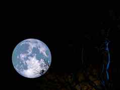 超级完整的蓝色的月亮黑暗晚上天空回来干树