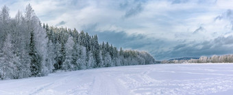 全景冬天森林冻河重黑暗蓝色的雪云典型的北部瑞典景观桦木云杉树覆盖白霜冷一天拉瑞典