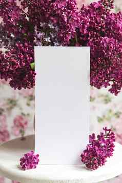 白色表美丽的盛开的淡紫色白色站花背景问候卡的地方文本模拟