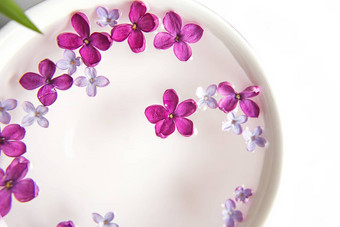 五角淡紫色花淡紫色花杯水淡紫色分支花花瓣