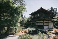 日本寺庙日本枫木树叶子《京都议定书》古董