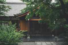 日本寺庙日本枫木树叶子《京都议定书》古董