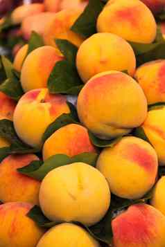 新鲜的桃子水果市场
