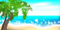 夏天时间海滨棕榈景观