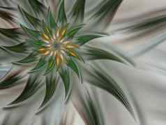 绿色神秘的螺旋花