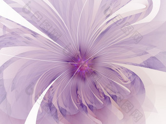 紫罗兰色的温柔的软分形花电脑生成的图像标志设计概念网络打印海报花背景