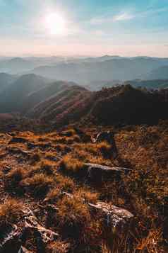 美丽的夏天景观山日落