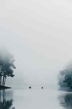 松森林多雾的庞oung美在香港儿子泰国