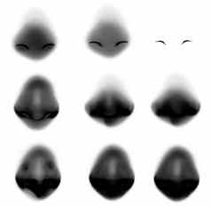 教程画人类鼻子画鼻子纸