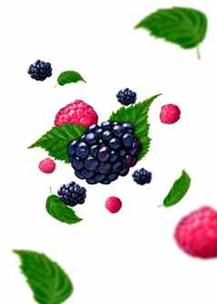 树莓黑莓下降空气白色背景叶食物悬浮概念高分辨率图像