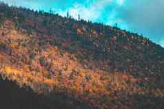 色彩斑斓的秋天森林雪山雅自然Res