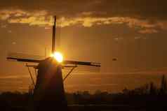 温暖的充满活力的日出联合国教科文组织世界遗产风车莱德申丹小孩堤防荷兰