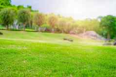 焦点自然绿色草高尔夫球法院花园模糊公园天空