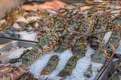 新鲜的生龙虾虾泰国海鲜市场
