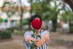 红色的玫瑰花人类手情人节一天