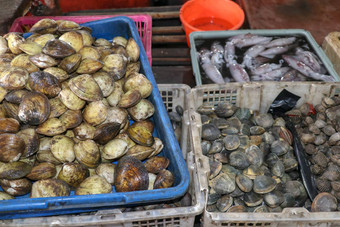 销售新鲜的海鲜鱼旅游吸引力当地的市场Jimbaran巴厘岛岛印尼美味的贝壳销售新鲜的血起皱当地的市场市场鱼kedonganan