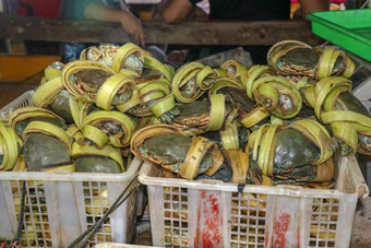 模式新鲜的<strong>螃蟹</strong>销售海鲜计数器Jimbaran市场鱼kedonganan巴厘岛海滩新鲜的<strong>螃蟹</strong>当地的鱼市场群新鲜的<strong>螃蟹</strong>塑料航空公司出售