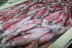 模式新鲜的鱿鱼托盘冰块出售头足类动物海鲜计数器鱼市场Jimbaran群新鲜的鱿鱼鱼聚雌烯盒子出售市场鱼kedonganan