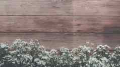 花园春天白色小花木板材表格背景复制空间复古的颜色风格