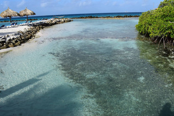 阿鲁巴岛文艺复兴时期的岛加勒比海阳光明媚的海滩白色沙子椰子棕榈树绿松石海夏天假期热带海滩粉红色的火烈鸟