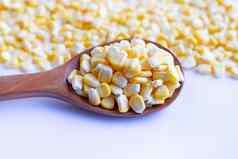 玉米种子成熟的玉米玉米穗轴白色背景