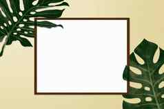 简单的有创意的自然框架使夏天热带棕榈蕨类植物叶子黄色的柔和的背景前视图