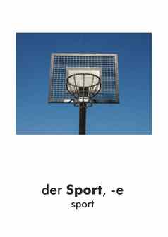 德国词卡体育运动体育运动