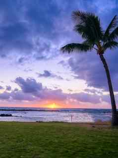 日落海岸考艾岛夏威夷