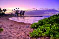 日出海岸考艾岛夏威夷