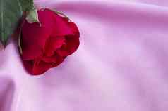 红色的玫瑰粉红色的丝绸背景
