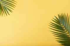 绿色热带棕榈叶子黄色的背景阳光最小的夏天有创意的平躺